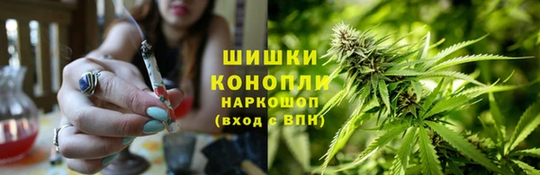амф Майский