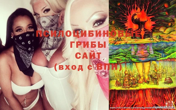 амф Майский