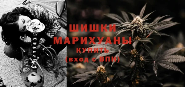 амф Майский