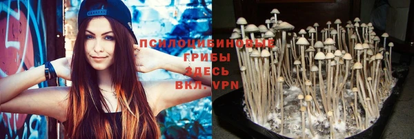 мет Магас