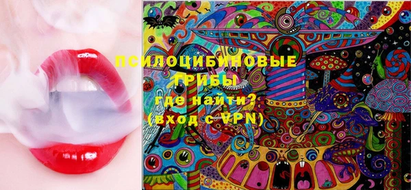шишки Магадан