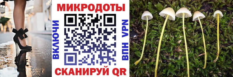 Галлюциногенные грибы мухоморы  Гусь-Хрустальный 