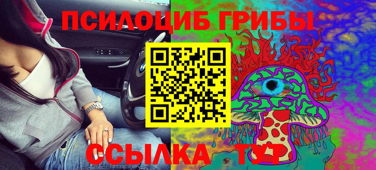 Галлюциногенные грибы Psilocybine cubensis  Псилоцибиновые грибы MAGIC MUSHROOMS  Гусь-Хрустальный 