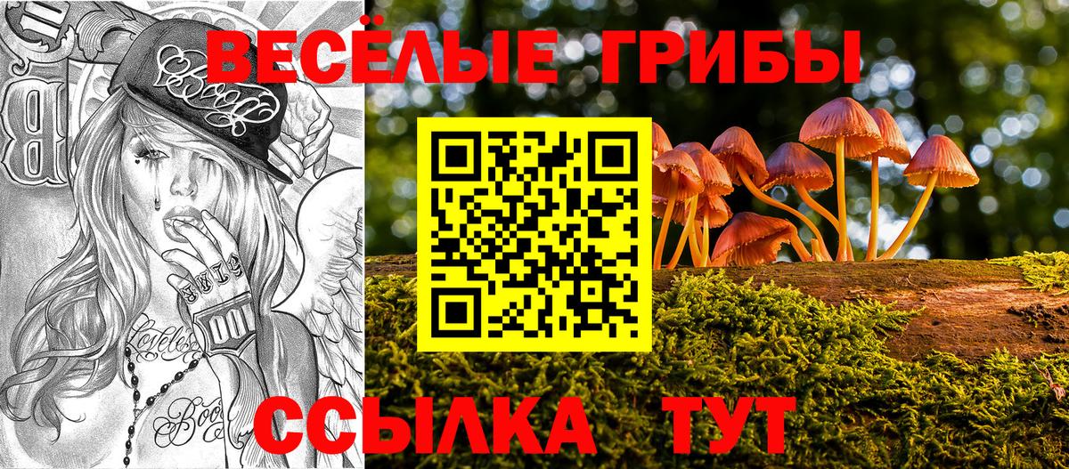 Псилоцибиновые грибы мицелий Гусь-Хрустальный